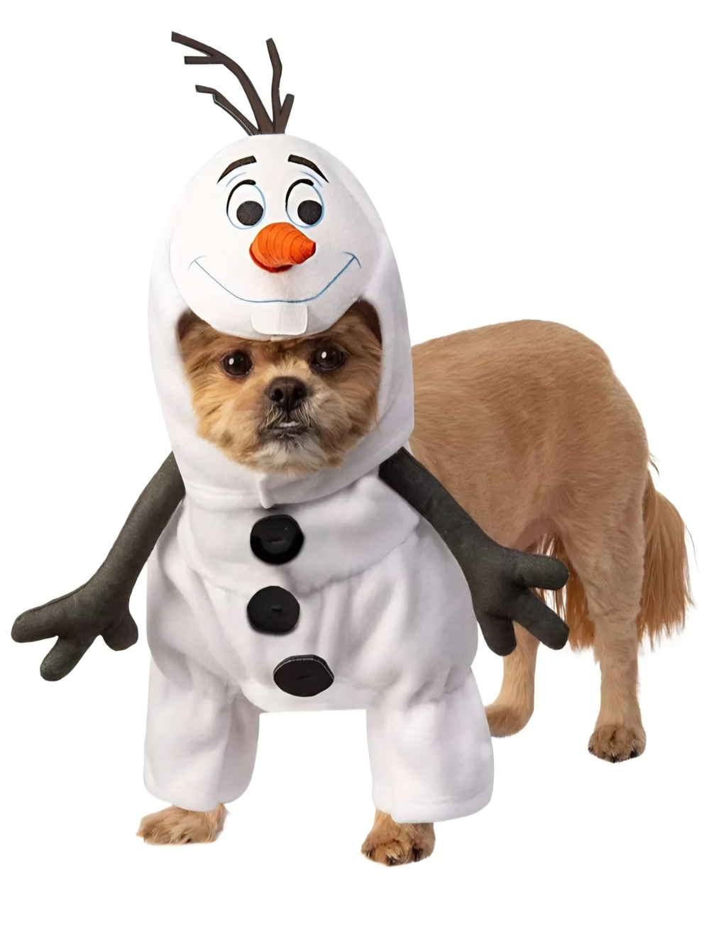 Disney Frozen 2 Olaf Dog Costume Small 6-10 lbs Rubie’s Pet Halloween